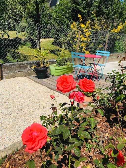 Logement Independant,Calme A 2 Pas Du Centre Ville ラニオン エクステリア 写真